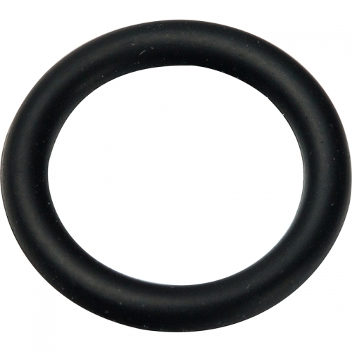 Prandelli Multyrama Уплотнительное кольцо (16х2,0) в комплекте 10 шт . 109.80.01.6  