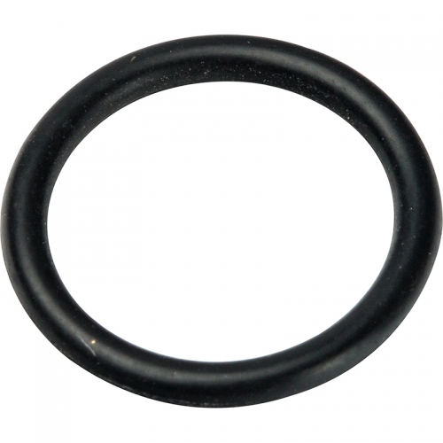 Prandelli Multyrama Уплотнительное кольцо (20х2,0) в комплекте 10 шт . 109.80.02.0 